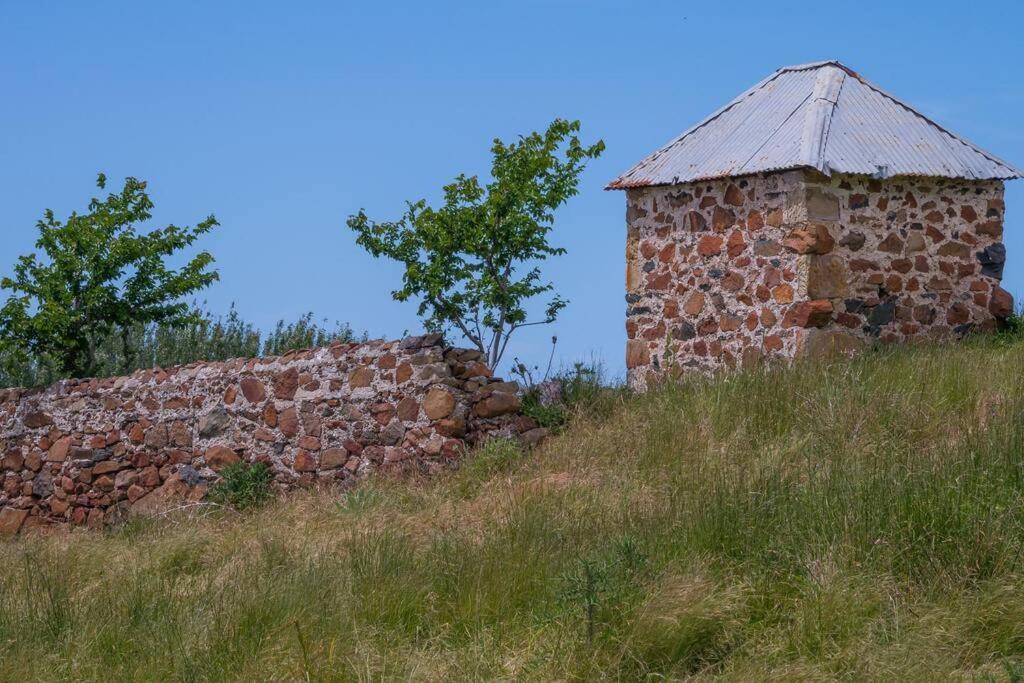 Vila *Newly Relisted* Coach House At Lisdillon Vineyard Little Swanport Exteriér fotografie
