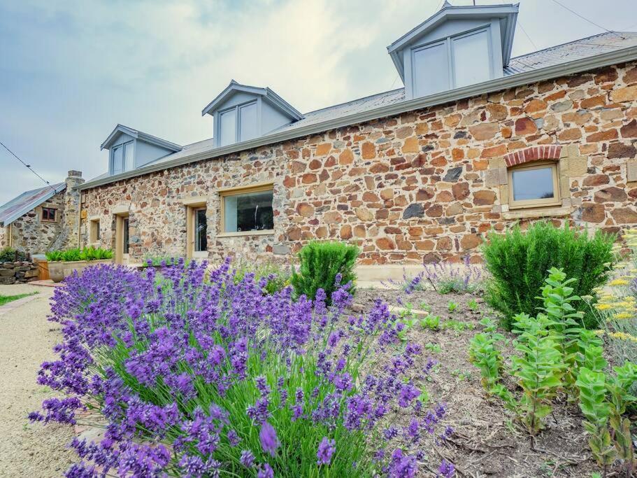 Vila *Newly Relisted* Coach House At Lisdillon Vineyard Little Swanport Exteriér fotografie