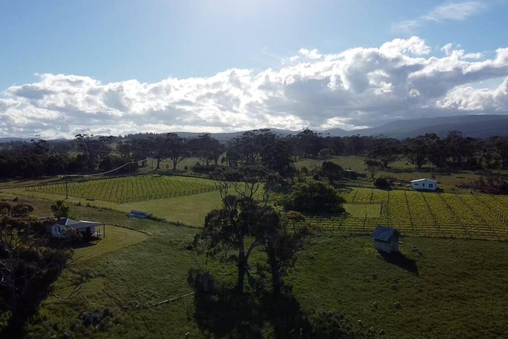 Vila *Newly Relisted* Coach House At Lisdillon Vineyard Little Swanport Exteriér fotografie
